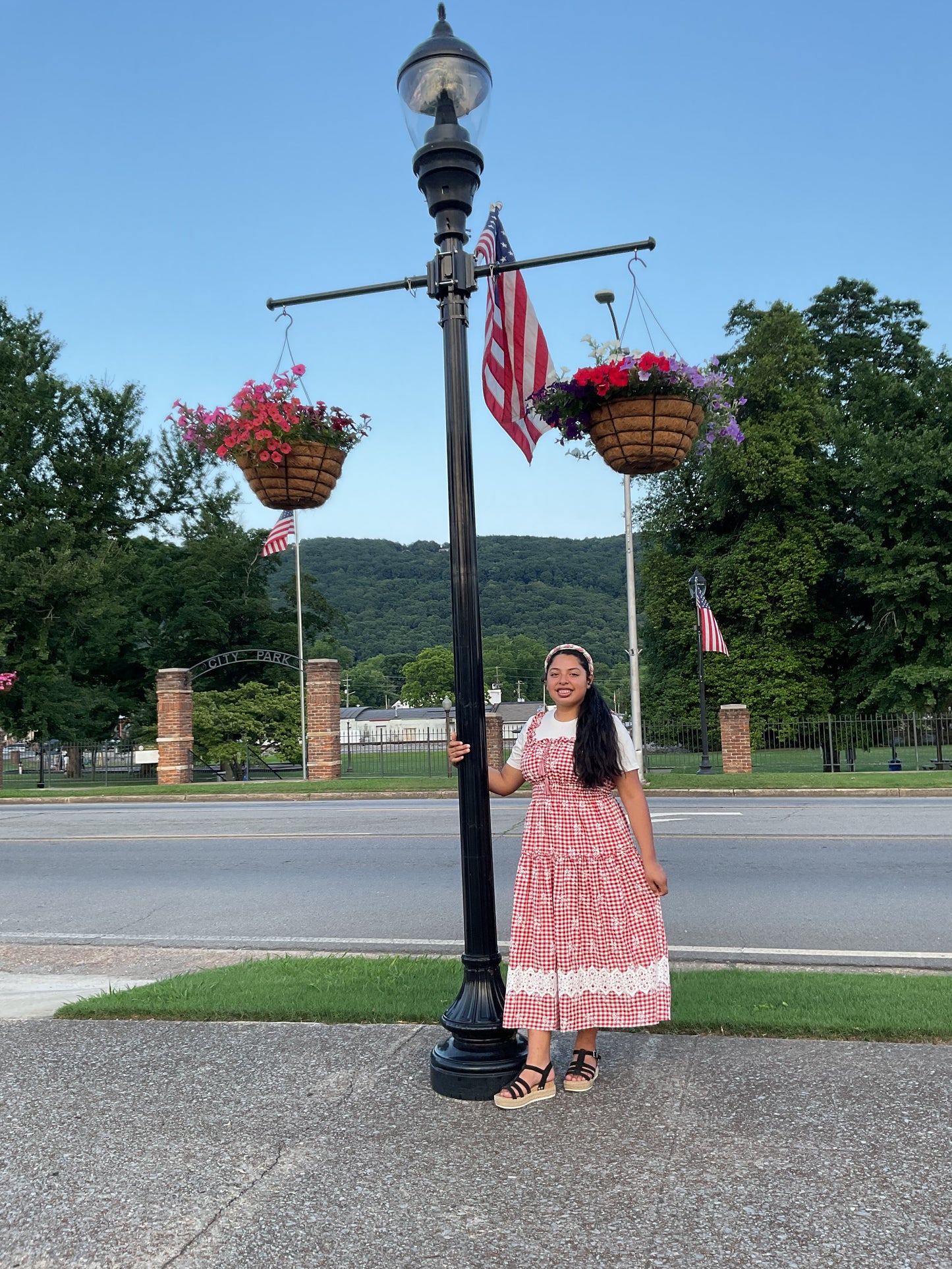 Red Picnic Dress