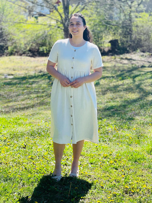 Linen Oatmeal button down dress (New)